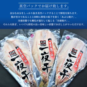 大きさ脂のり自慢!縞ほっけ(約500g)×3枚【配送不可地域：離島】【1104320】