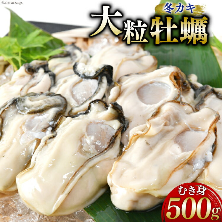 【ふるさと納税】 【期間限定発送】ヤマヨ水産の牡蠣 生食用 むき身 500g 《1月前半～出荷》 [気仙沼市物産振興協会 宮城県 気仙沼市 20565827] 牡蠣 かき 魚介類 海鮮 冬 冬牡蠣 冬かき 期間限定 冷蔵 生食 生牡蠣