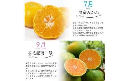 みかん 定期便 5回 計22.5kg 【温室みかん・超極早生温州・極早生温州・由良早生・早生温州】【nkmr-tkb0002】