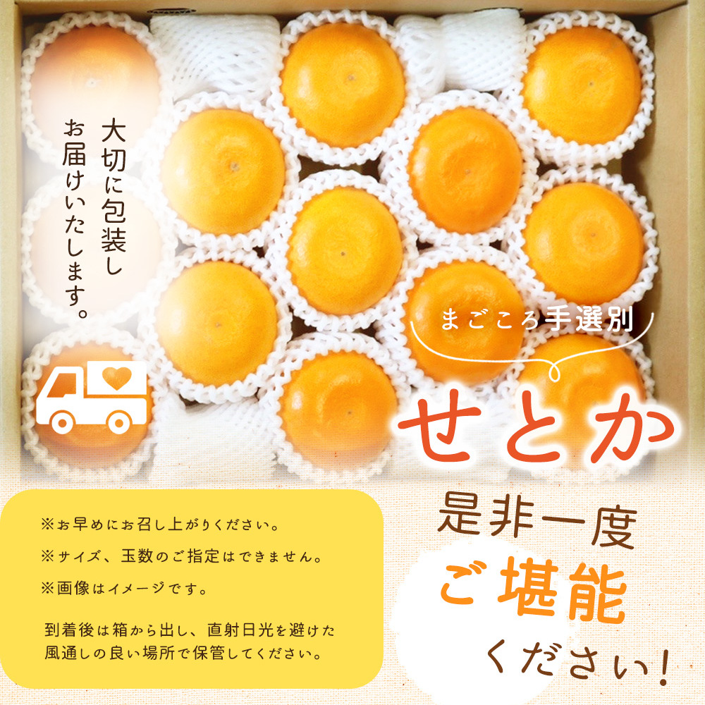 ZE6401n_湯浅町産せとか11～15玉（M～2Lサイズ混合）化粧箱入り秀品【まごころ手選別】_イメージ5