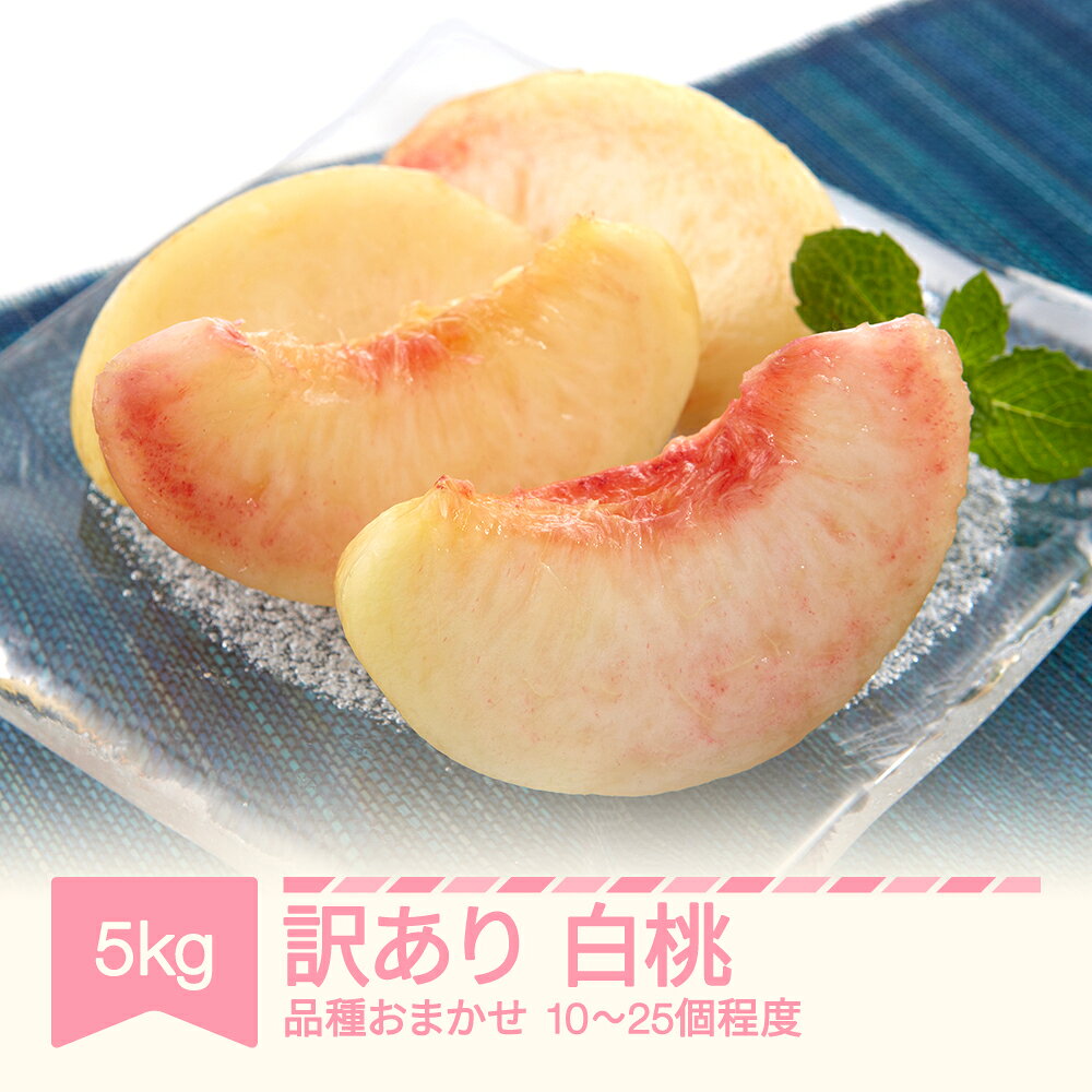 【ふるさと納税】【先行予約】訳あり 白桃 品種おまかせ 約5kg(10～25個程度) 令和9年産 2027年産 sb-mohtw5