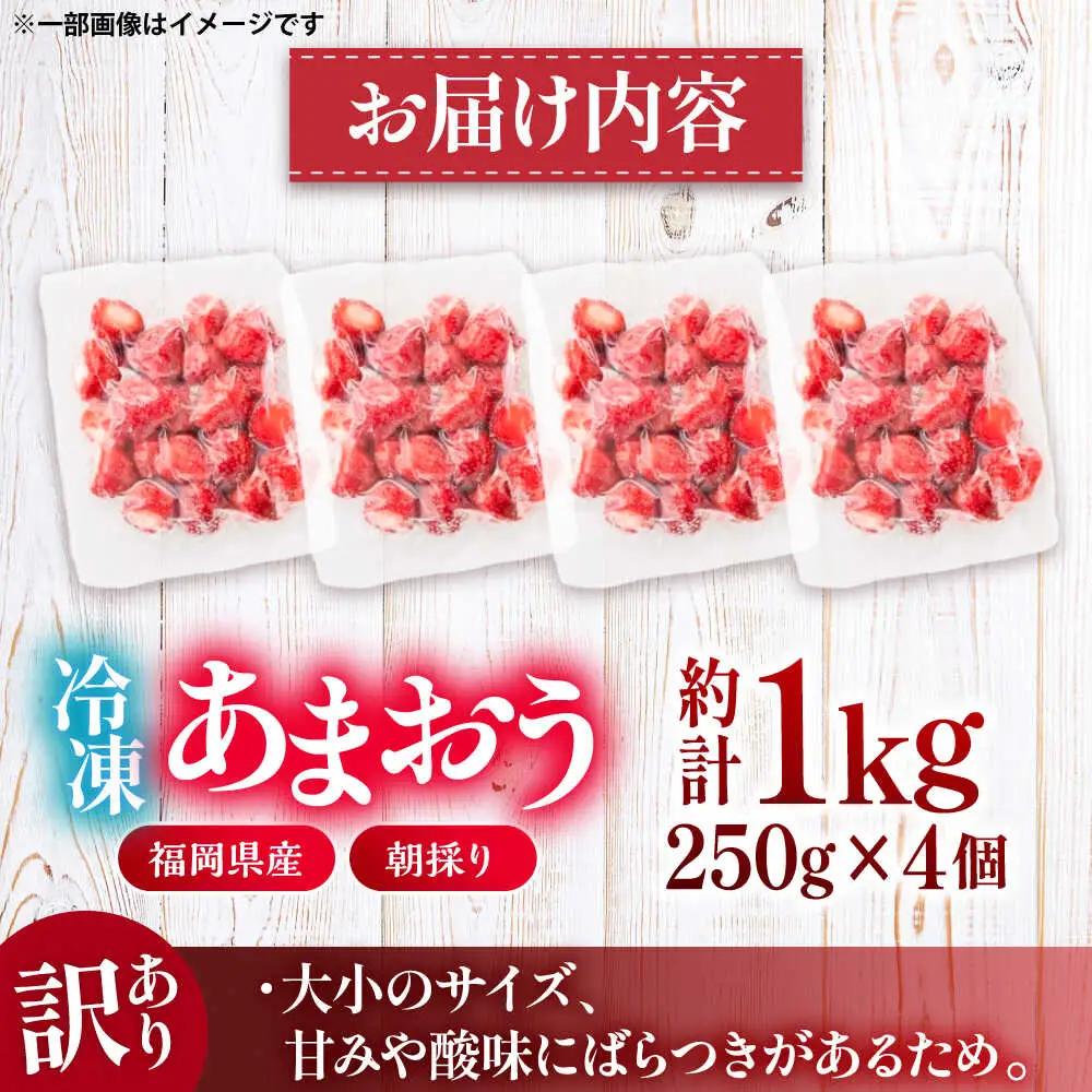 【訳あり】福岡県産 冷凍あまおう 1kg (250g×4個) VEG012 冷凍いちご 訳あり
