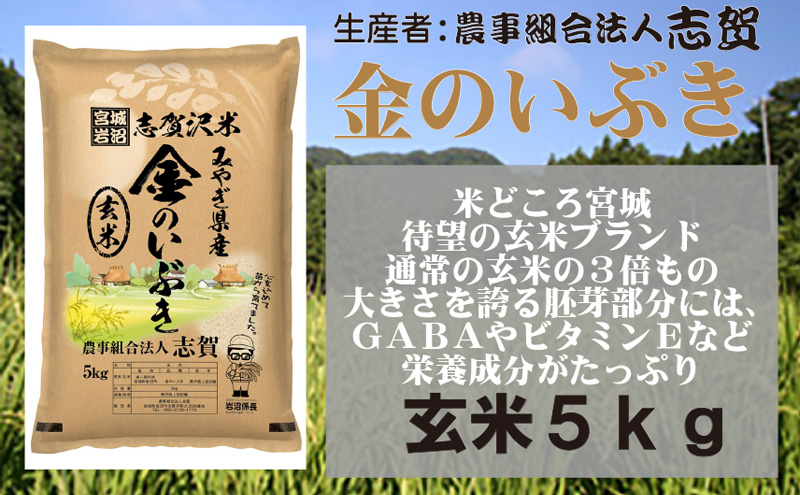 【10月受付再開予定/令和7年産新米】玄米 金のいぶき 5kg 志賀沢米 岩沼産 お米 ブランド米 単一原料米 5キロ こめ コメ おこめ ご飯 ライス 玄米ごはん 玄米ご飯 きんのいぶき 金のいぶき玄米 東北 宮城県産 宮城米 宮城 宮城県 岩沼市