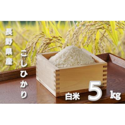 ふるさと納税 千曲市 【毎月定期便】長野県産 こしひかり 白米5キロ全2回