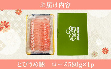 大分県日田市産 とびうめ豚 ロース しゃぶしゃぶ用 580g 日田市 / 株式会社中津留[ARCM001]