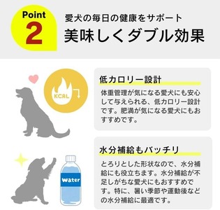 【隔月6回 定期便】とろーりおやつ 犬用（チキン＆チーズ入り）150g×48個 _ 定期便 隔月 全6回 とろーりおやつ 犬用 150g × 48個 × 6回 チキン＆チーズ入り とろける 口当たり 