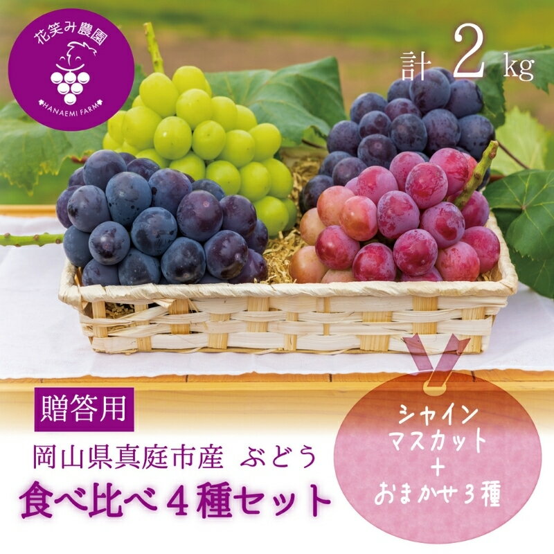 【ふるさと納税】 岡山　花笑み農園のブドウ『食べ比べ4種セット』シャインマスカット入り 2kg(4房) 4M-2 hana19-1【2025年9月中旬～順次発送】【配送不可地域：離島】産地直送 国産 真庭 ギフト 葡萄 ぶどう フルーツ 果物 食べ比べ 贈答 数量限定 おすすめ【1492736】