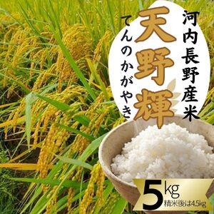 令和7年産 新米 ヒノヒカリ 天野輝5kg （精米後約4.5kg）てんのかがやき 大阪府 河内長野市産 白米 甘み 粘り ブランド米【2025年11月以降発送】米 こめ コメ 子ども 食育 減農薬 安心 安全 新米 河内長野市米 eco米 食味 白米 ごはん 銘柄米 ブランド 単一米 米 こめ コメ 白米 ごはん 新米 ひのひかり