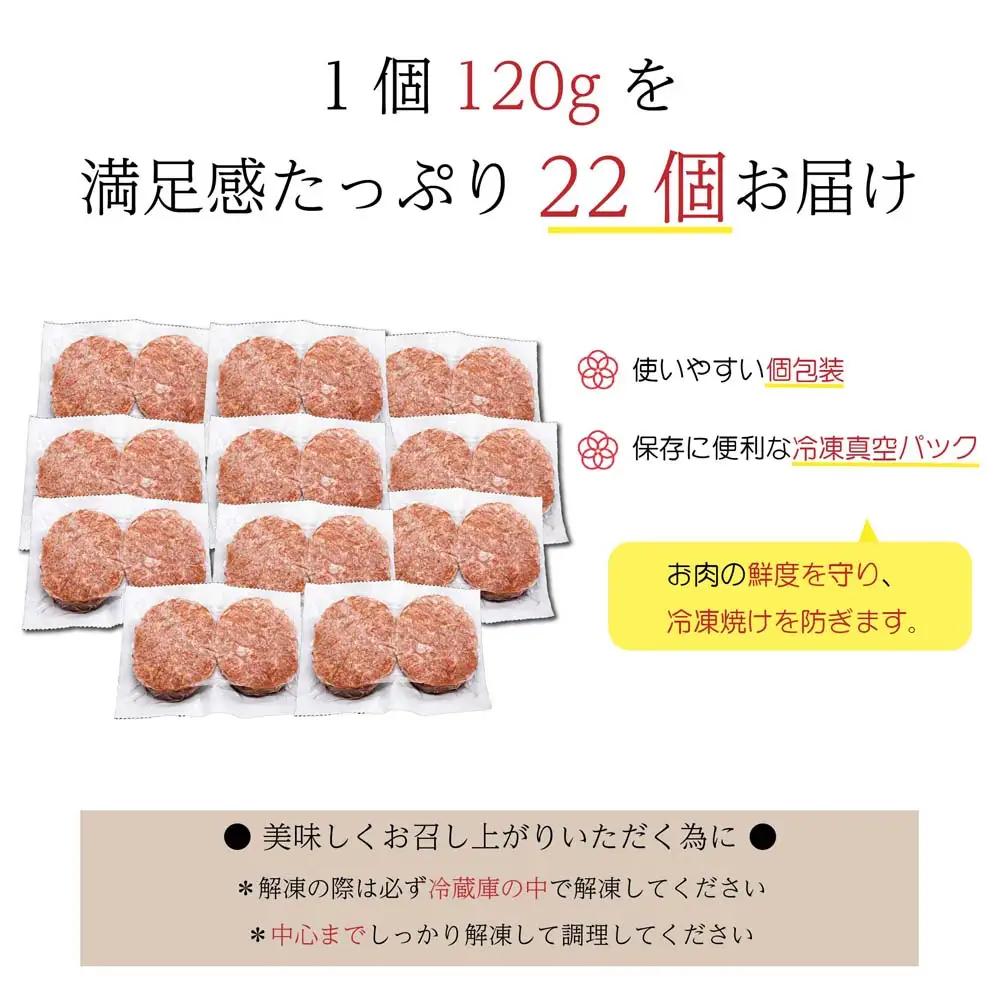 【14日以内発送！数量限定】佐賀牛入り ハンバーグ 22個 2.6kg(120g×22個)(H083106)