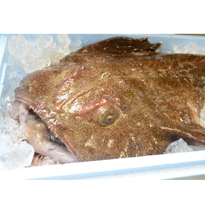 【1月発送】常陸名物　あんこう鍋セット(3～4人前)【配送不可地域：離島】