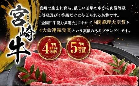 塩だけでつくる 宮崎牛 塩ジャーキー 10袋（20g×10袋）ブランド牛 ビーフジャーキー おつまみ 珍味 グルメ 干し肉 宮崎県産