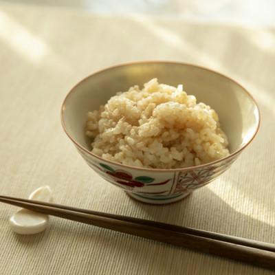 ふるさと納税 酒田市 特別栽培米 コシヒカリ 玄米 5kg×2袋 計10kg |  | 01