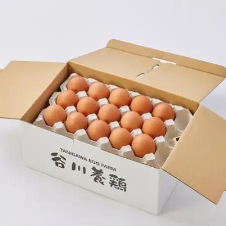 【毎月定期便】計180個【生みたて濃厚】谷川養鶏の赤たまご30ヶ入り(※サイズ指定できません)全6回【配送不可地域：離島】【4092210】