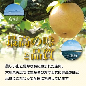 SC0688　酒田の果物専門店厳選　刈屋産 豊水梨　約5kg(10～16玉入)