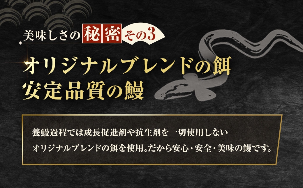 めぐみうなぎきざみ
