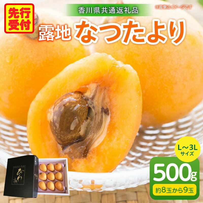 【ふるさと納税】露地なつたよりびわ 500g【香川県共通返礼品】 びわ フルーツ 果物 デザート 贈り物 贈答 旬 旬の果物 ギフト 果実 グルメ お取り寄せ 季節 季節の果物 甘み 甘い果物 初夏 香川県 三木町 送料無料