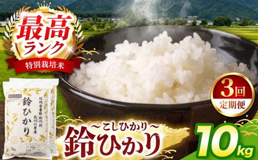 【3回定期便】鈴音ひびく清らかな里で育ったお米 松川村ブランド米 鈴ひかり 1等A 特別栽培米 コシヒカリ 10kg(5kg×2袋) 定期 3回 限定生産米 減農薬 信州 安曇野産 こしひかり | 乳川の里 米 こめ コメ お米 白米 コシヒカリ 長野県 信州 安曇野 松川村