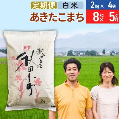 ふるさと納税 美郷町 《定期便5ヶ月》令和7年産 あきたこまち特別栽培米8kg×5回【白米】|01_tfs-110805