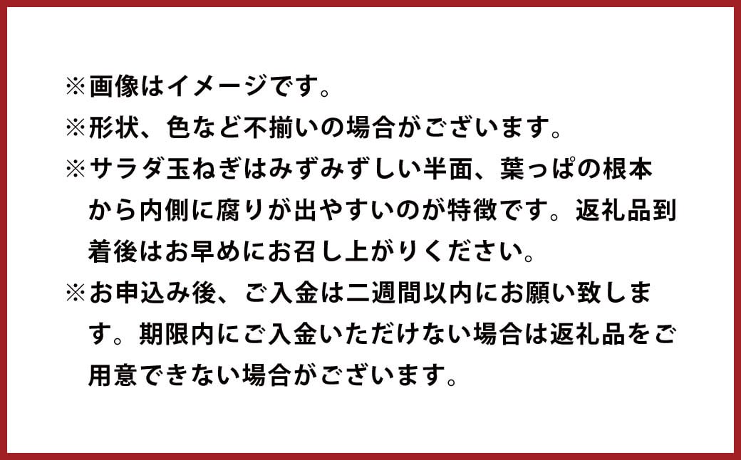水俣 サラダ玉ねぎ 10kg 野菜 タマネギ サラダ 天ぷら 【2026年4月下旬〜5月下旬発送】