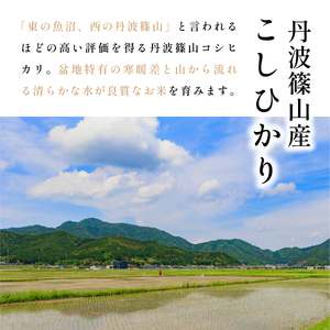 令和8年産【12回定期便】コシヒカリ 5kg 玄米 無農薬 コシヒカリ