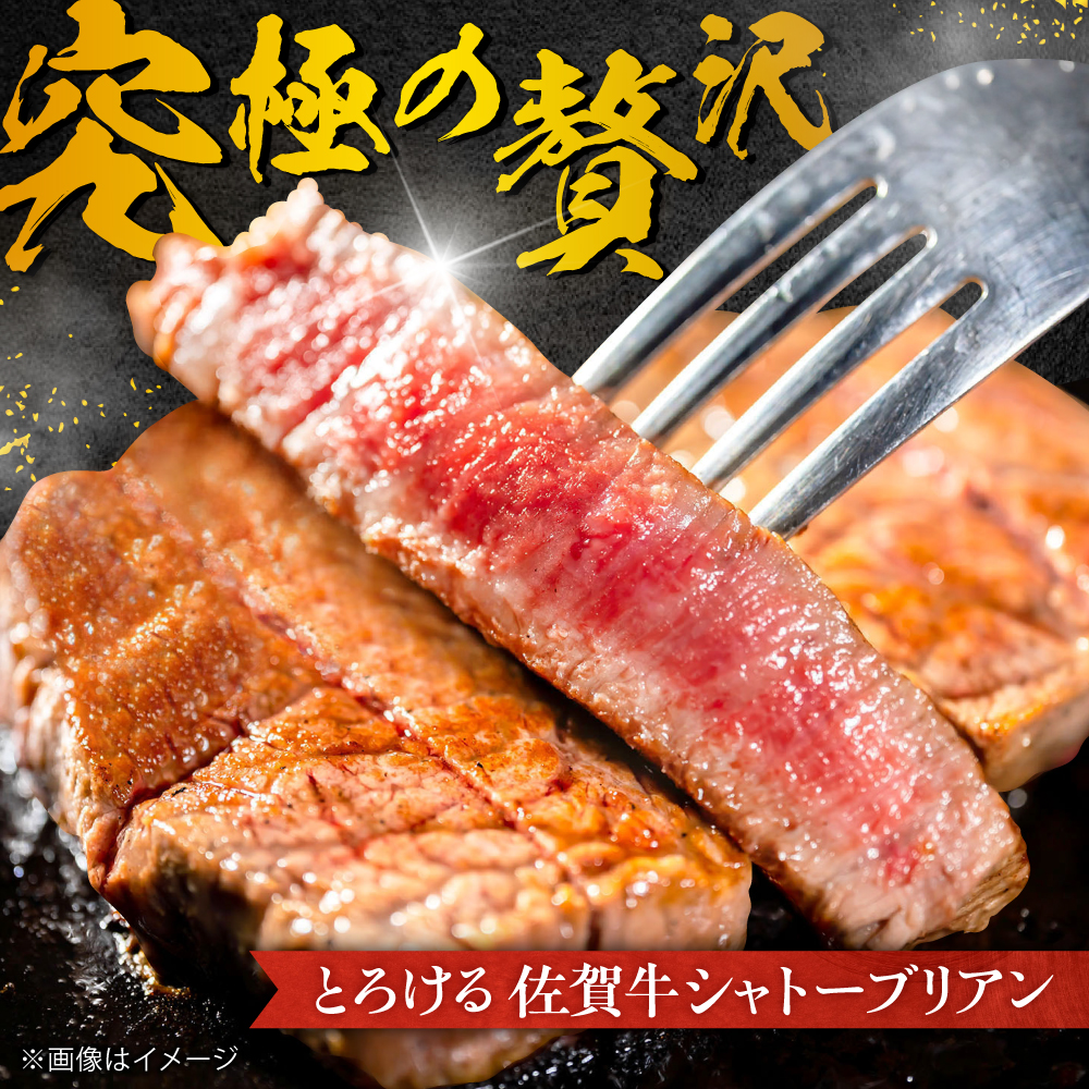 【全5回定期便/2ヵ月に1回 隔月にお届け】佐賀牛贅沢シャトーブリアン・ヒレステーキ計600g総計3kg 吉野ヶ里町/やま田商店 [FCH009]