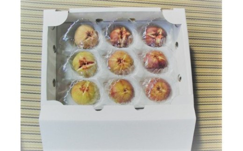 【先行予約】浜田のいちじく懐かしの味！長浜唐柿（蓬莱柿）生食用約2kg 産地直送 新鮮 旬 フルーツ 果物 デザート くだもの 8月下旬から発送【113_0368】