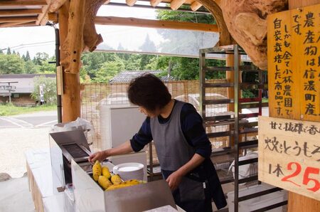 【2026年夏の予約受付開始！】 小林農園のとうもろこし（16～18本セット）　信濃町産サニーショコラ｜令和8年8月上旬からのお届け予定　生産者直送 2026年夏出荷分 先行予約【長野県信濃町ふるさと