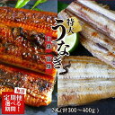 【ふるさと納税】【定期便】特大うなぎ蒲焼き、うなぎ白焼き　各1本セット 【選べる回数】 【3回 6回 12回】 / 和歌山 田辺 うなぎ 鰻 白焼き うな丼 うな重 国産 鰻丼 かば焼き