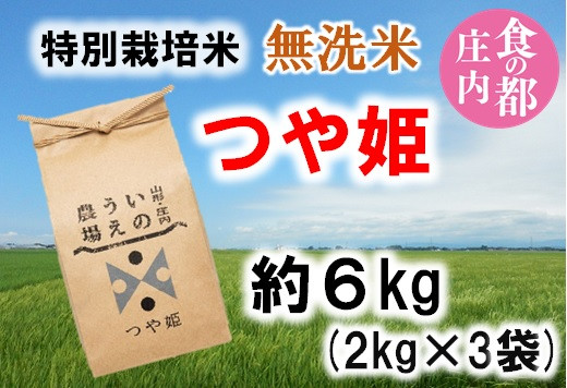 
食の都庄内　井上農場の【無洗米（精米）】特別栽培米つや姫6kg
