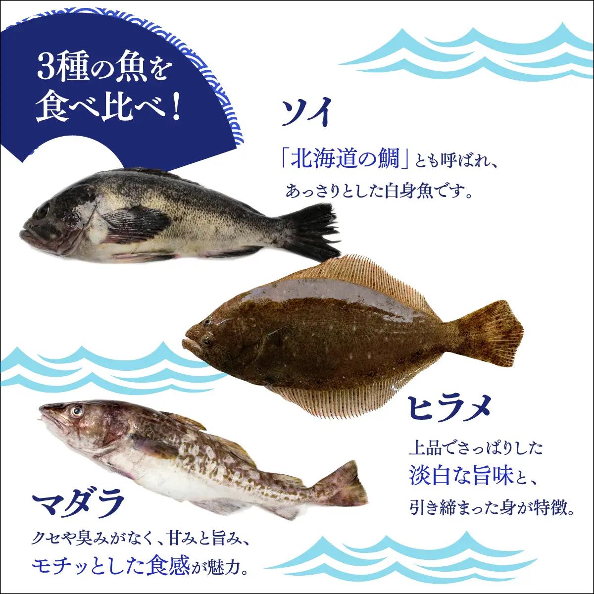 松前産 ソイ・ヒラメ・マダラ 昆布〆セット 100g×3 冷凍 高級魚 食べ比べ 3種 詰め合わせ | 北海道産昆布 昆布締め こんぶじめ 曹以 鮃 真鱈 平目 白身魚 刺身 お刺身 酒の肴 おつまみ