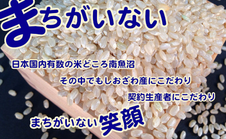 【令和7年産】【定期便】玄米 生産者限定 南魚沼しおざわ産コシヒカリ5Kg×3ヶ月【2025年10月上旬より順次発送予定】