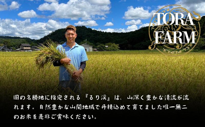 令和7年産 京都丹波産キヌヒカリ 10kg　米 ごはん きぬひかり