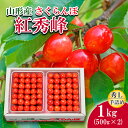 【ふるさと納税】さくらんぼ(紅秀峰)L1kg手詰(500g×2) 【令和7年産先行予約】FS19-701 くだもの 果物 フルーツ 山形 山形県 山形市 2025年産