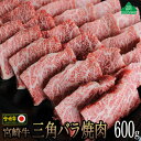 【ふるさと納税】宮崎牛三角バラ焼肉600g 牛肉 トロばら 大トロ カルビ 真空 冷凍 内閣総理大臣賞受賞 宮崎県産 送料無料（36-170）