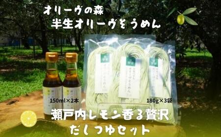 そうめんセット 半生オリーブそうめん 瀬戸内レモンだしつゆ そうめんセット