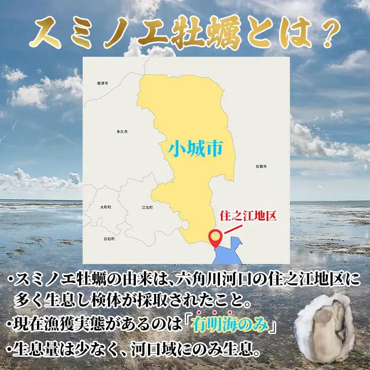 【天然】有明海産住之江牡蠣　冷凍スミ☆スター 3kg 牡蠣 冷凍 殻付き B160-013