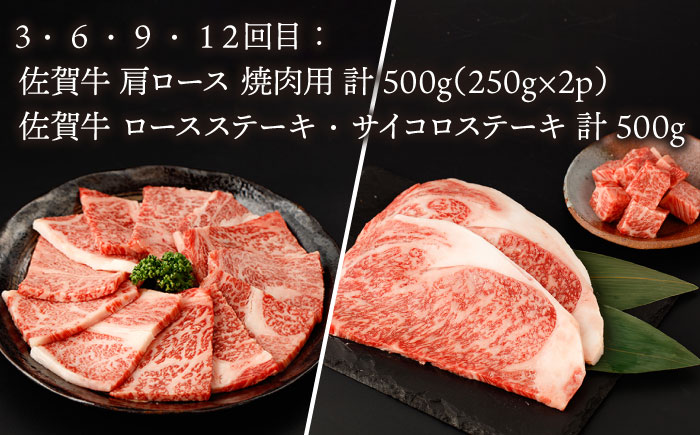 【ANA限定】【12回定期便】佐賀牛・佐賀和牛 食べつくし定期便 プレミアムコース【一ノ瀬畜産】 [NAC207] 牛肉 佐賀県産 黒毛和牛 食べくらべ たべくらべ ステーキ 焼肉 焼き肉 BBQ バ