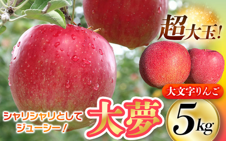 【令和7年度分予約受付】〈超大玉！〉大文字りんご 大夢（おおゆめ）約5kg (10～11玉) 【2025年11月30日までの受付】/ りんご リンゴ 林檎 果物 くだもの フルーツ 甘い 旬 産地直送 予約 先行予約 【dma513-l-oy-big】 