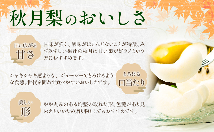 梨 秀品 秋月梨 約10kg（10〜24玉） あきづき 日本フルーツ《9月上旬-9月末頃出荷》熊本県 長洲町 なし 梨 果物 フルーツ デザート ギフト ご贈答