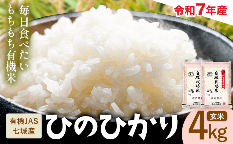 令和7年産 有機JAS 七城産ひのひかり 玄米 4kg 《30日以内に出荷予定(土日祝除く)》渡辺農産熊本県 菊池市 米 お米 精米 ひのひかり 菊池市産 熊本県産 九州産 送料無料---171-19