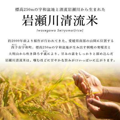 ふるさと納税 西予市 <令和7年産 新米 岩瀬川清流米 10kg 選べる こしひかり コシヒカリ |  | 02