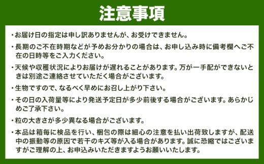 【先行予約】 岡山県産 シャインマスカット 晴王 計 800g 2房 株式会社はちや《7月上旬‐8月下旬頃出荷》岡山県 浅口市 ぶどう 葡萄 フルーツ ギフト 果物 デザート 国産【配送不可地域あり】