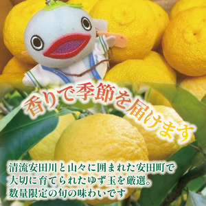 安田町産 ゆず玉～料理にお酒にお風呂にどうぞ～ 期間限定 ゆず 12～15玉 柚子 果物 柑橘 フルーツ スイーツ デザート アレンジ 柚子風呂 ゆず風呂 柚子湯 早期予約 季節限定 ふるさと納税 人