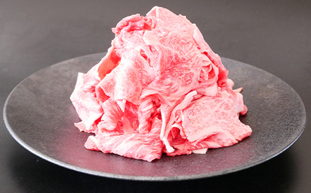 A4等級以上 飛騨牛 焼肉 切り落とし 250g × 4 計 1kg 牛肉 ブランド牛 肉 切落し わけあり ぎゅうにく にく ひだぎゅう ひだうし 訳あり 商品 ワケアリ 不揃い 大容量 切り落とし