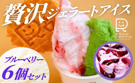 贅沢ジェラートアイス　ブルーベリー　6個セット アイスアイスアイスアイスアイス