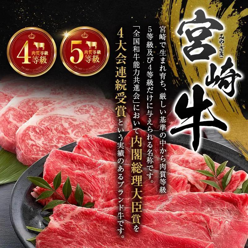塩だけでつくる 宮崎牛 塩ジャーキー 5袋（20g×5袋）ブランド牛 ビーフジャーキー おつまみ 珍味 グルメ 干し肉 宮崎県産