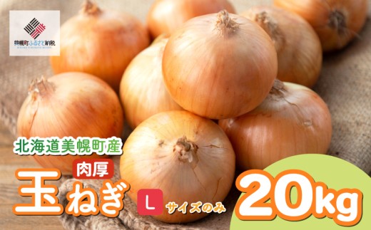 【令和8年産 先行予約】玉ねぎ Lサイズ 20kg 2026年10月上旬より順次発送 人気 おすすめ ランキング たまねぎ 玉ネギ タマネギ 玉葱 オニオン サラダ ハンバーグ 焼き肉 バーベキュー BBQ スープ 国産 野菜 新鮮 北海道 美幌町
