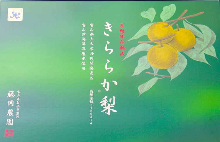 藤岡さんが作ったきららか梨（幸水または豊水）約3kg ｜ 梨 ナシ 果物 フルーツ　※2026年8月～予定