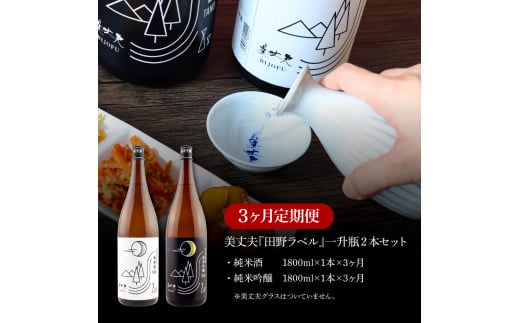 【四国一小さなまちの地酒】＜3ヶ月定期便＞★ふるさと納税限定★ 美丈夫『田野ラベル』一升瓶２本セット 1800ml 一升 一升瓶 酒 お酒 地酒 純米吟醸 純米酒 日本酒 セット 15度 美丈夫 限定