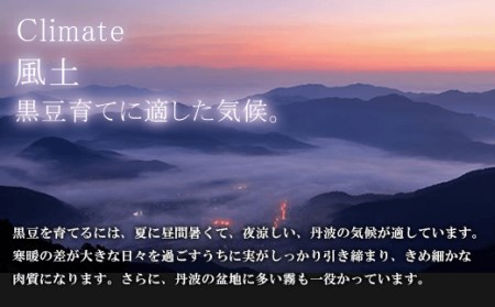 甘さひかえめ 黒豆しぼり甘納豆 90g×5袋 FCAI001